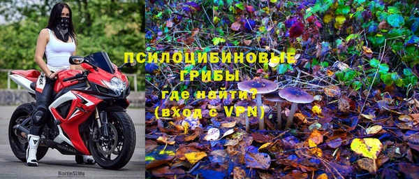 ешки Верея