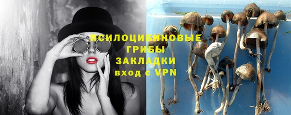 ешки Верея